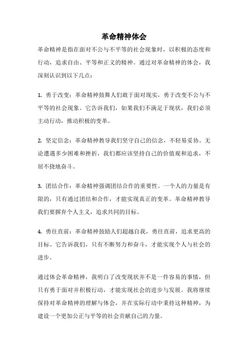 革命精神体会