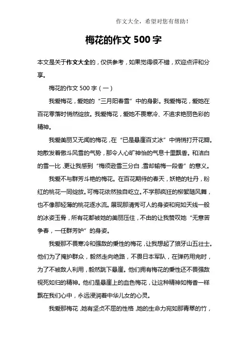 梅花的作文500字