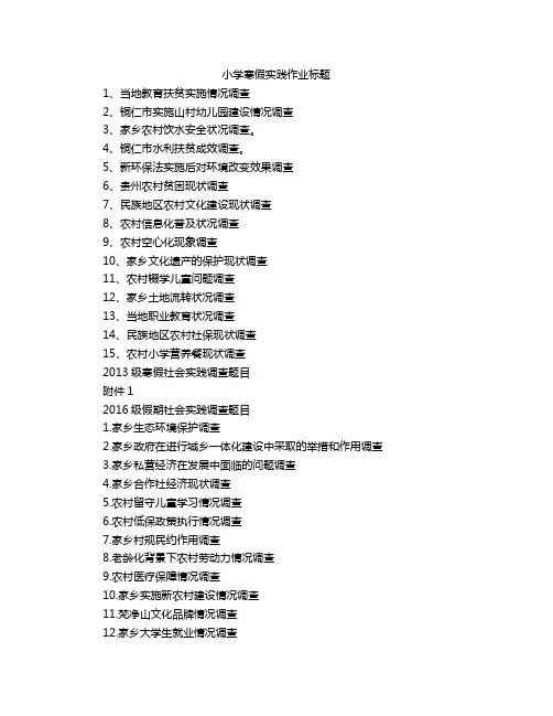 小学寒假实践作业标题