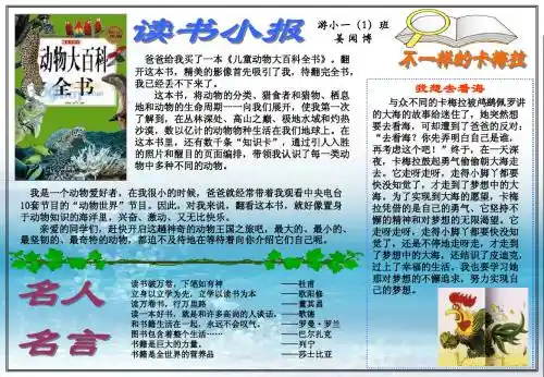读书小报