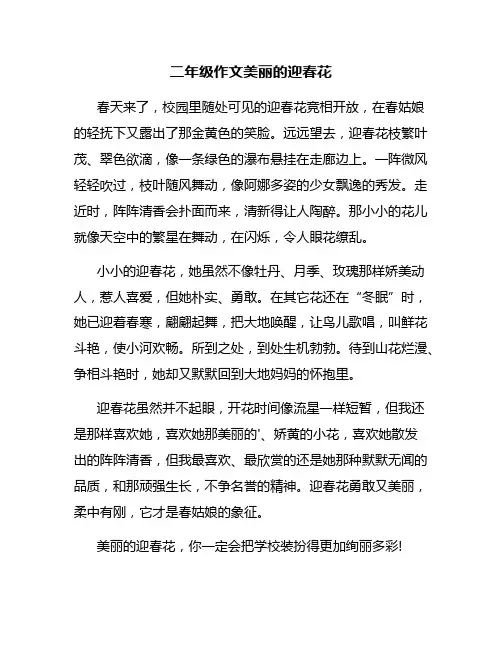 二年级作文美丽的迎春花