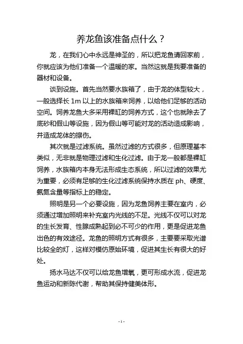 养龙鱼该准备点什么？