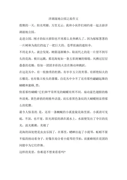 洋湖湿地公园之旅作文