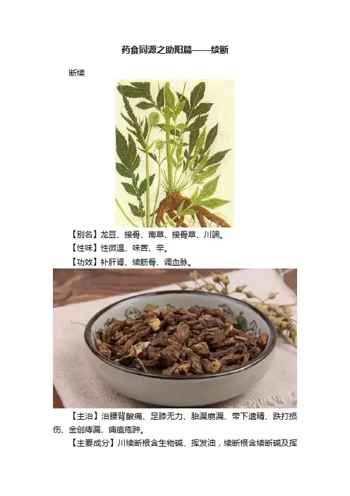 药食同源之助阳篇——续断