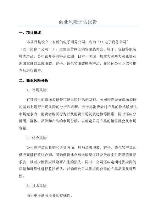 商业风险评估报告