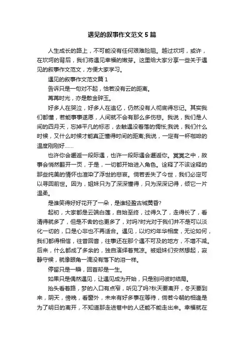 遇见的叙事作文范文5篇