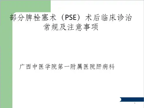脾栓塞术