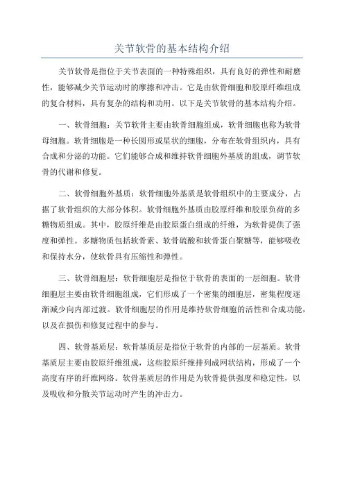 关节软骨的基本结构介绍