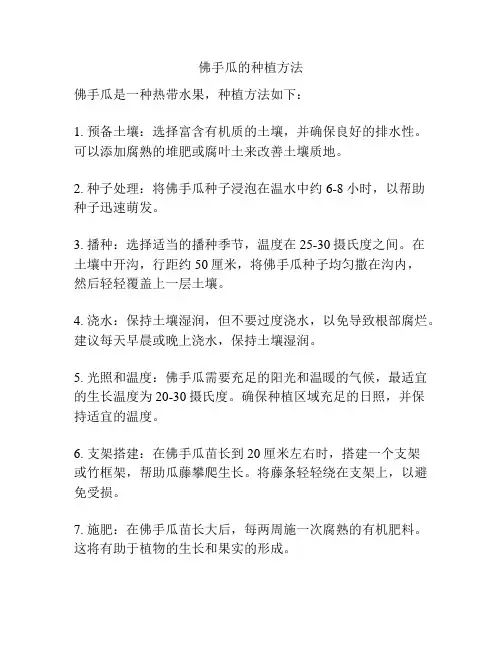 佛手瓜的种植方法