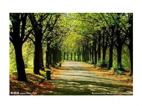 六下英语Unit4 Planting trees is good for us(湘少版)完美版