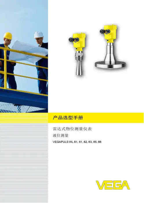 雷达式液位测量 VEGAPULSWL61,61,62,63,65,66 中文选型手册