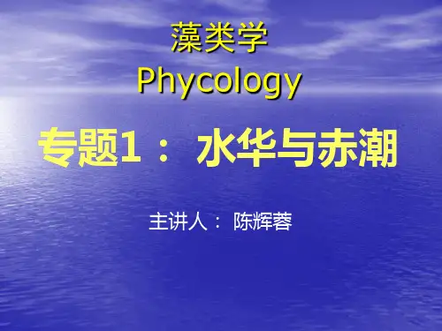 水华跟赤潮