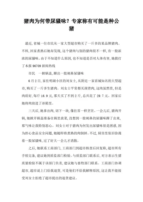 猪肉为何带尿骚味？专家称有可能是种公猪