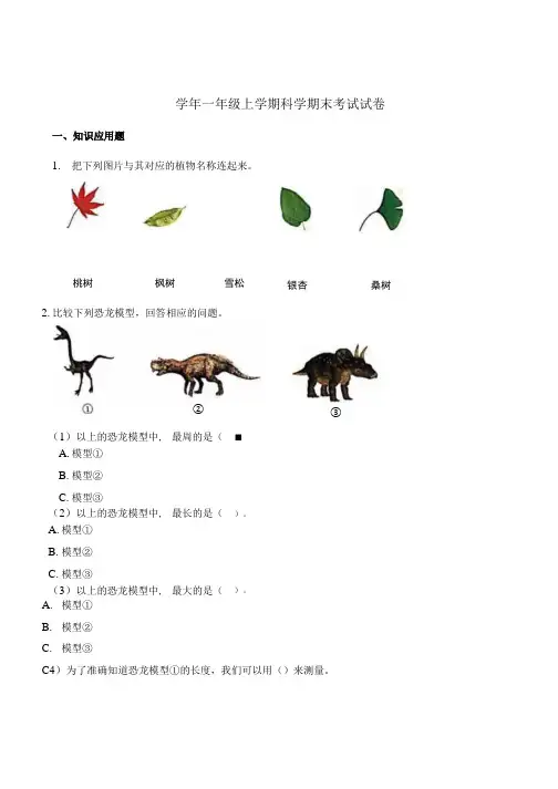 粤教粤科版小学科学一年级上册科学期末考试试卷.docx