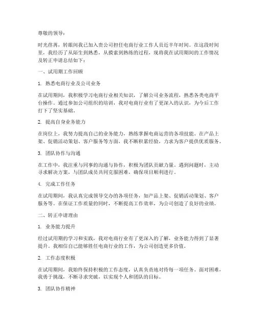 电商行业转正个人工作总结