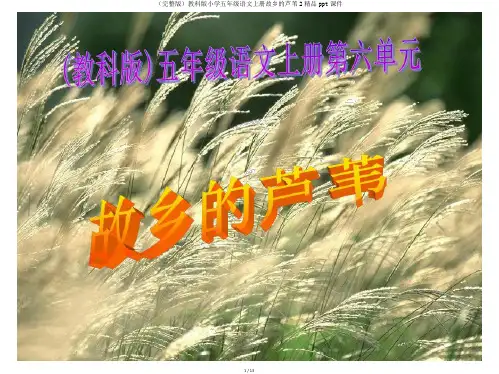 (完整版)教科版小学五年级语文上册故乡的芦苇2精品ppt课件
