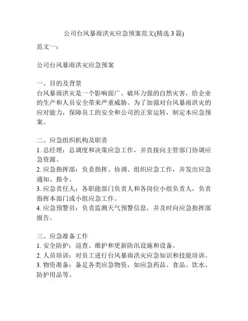 公司台风暴雨洪灾应急预案范文(精选3篇)