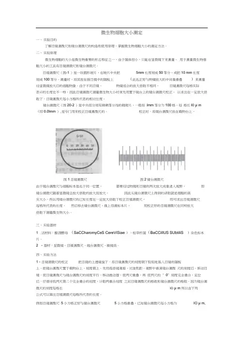 微生物细胞大小的测定方法