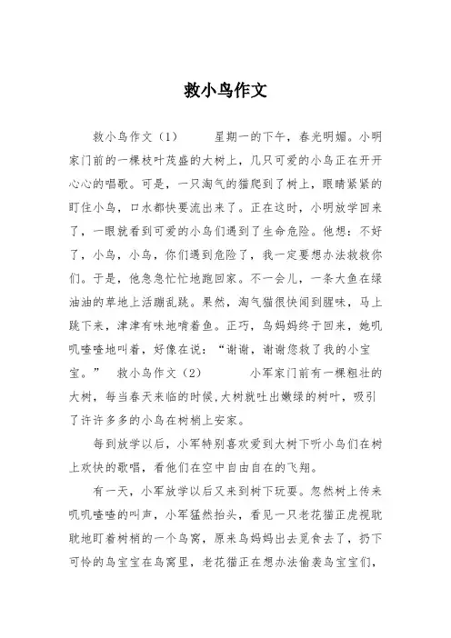 小学二年级作文：救小鸟作文