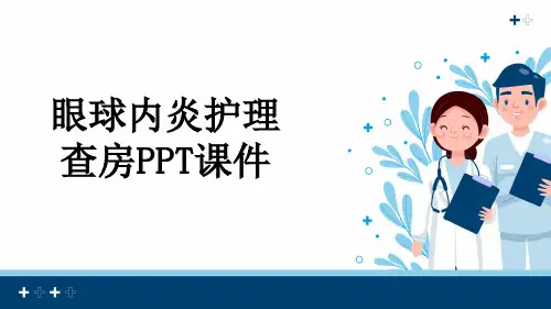 眼球内炎护理查房PPT课件