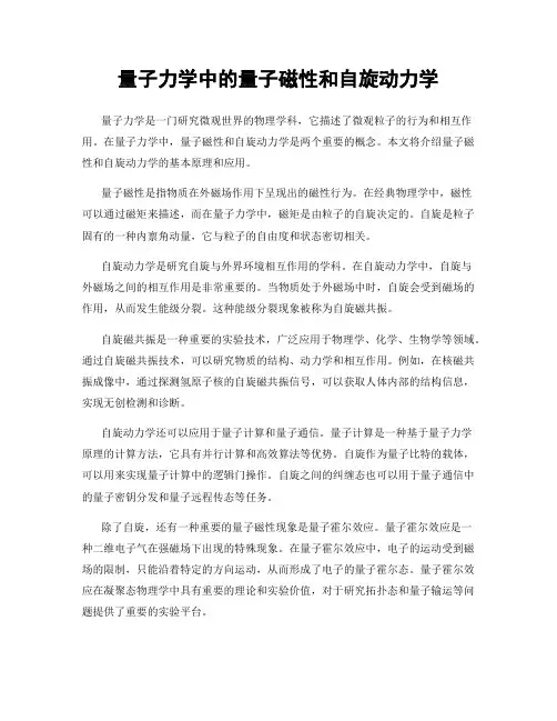 量子力学中的量子磁性和自旋动力学