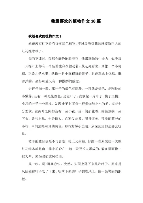 作文 我最喜欢的植物500字