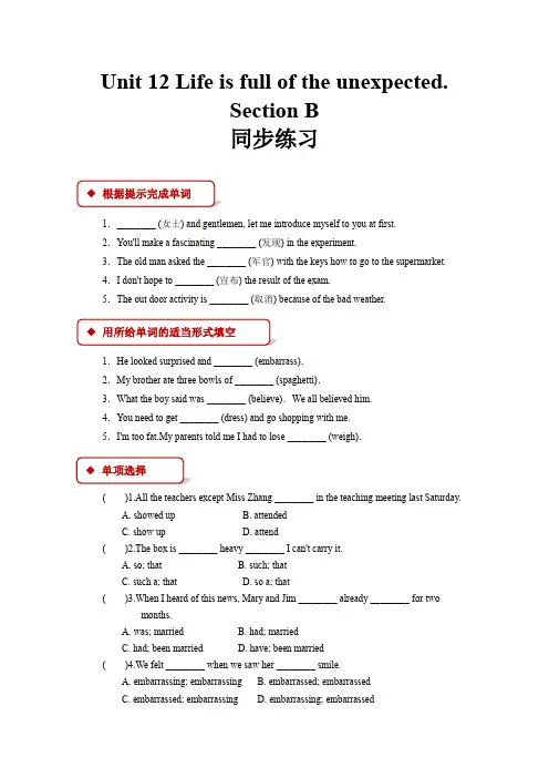 人教新目标九年级英语全一册同步练习题 Unit 12 Section B练习题