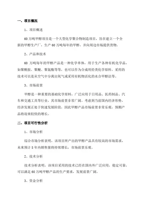 年产60万吨甲醇项目可行性报告