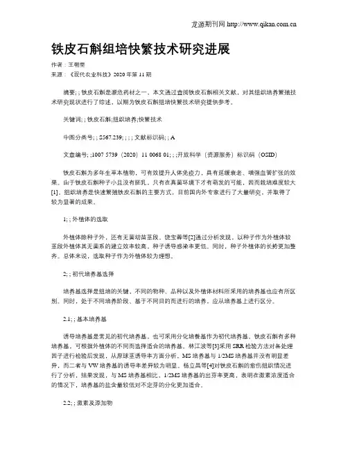 铁皮石斛组培快繁技术研究进展