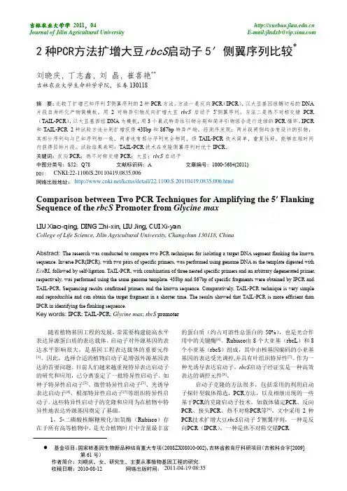 2种PCR方法扩增大豆rbcS启动子5_侧翼序列比较