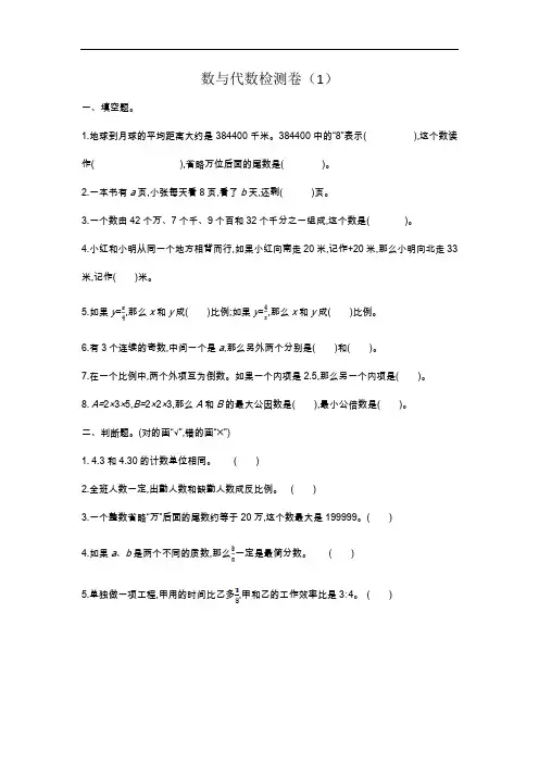 人教版六年级下册数学第六单元《数与代数》检测卷(1)(附答案)