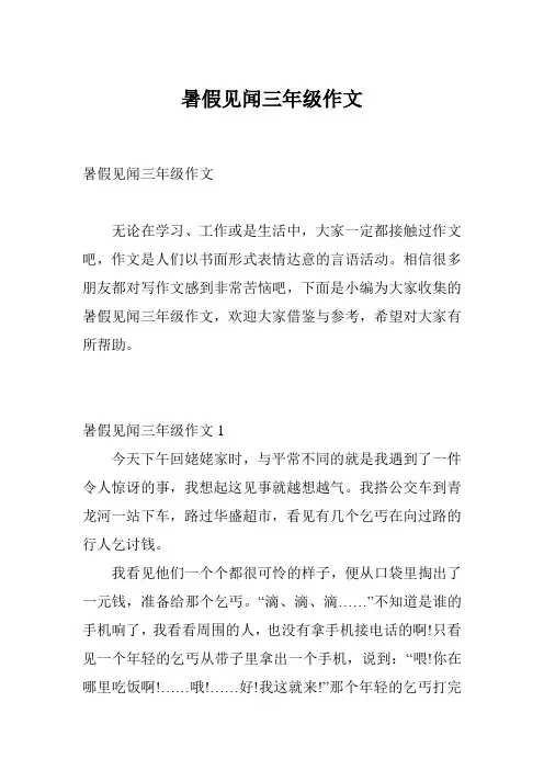 暑假见闻三年级作文