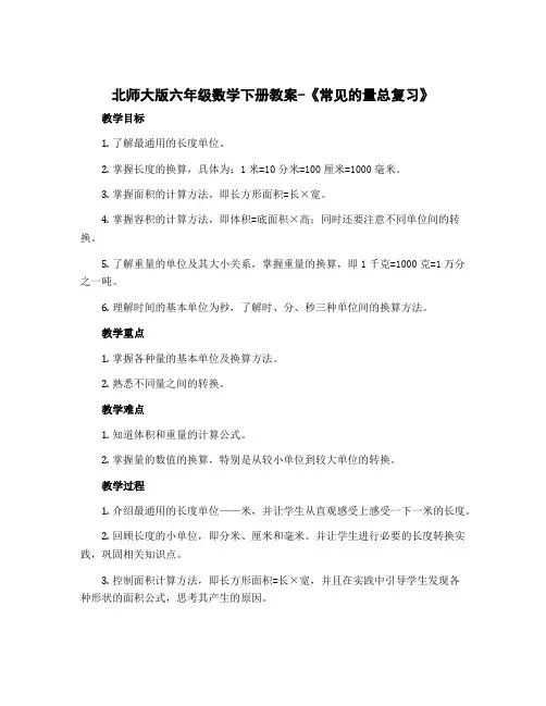 北师大版六年级数学下册教案-《常见的量总复习》