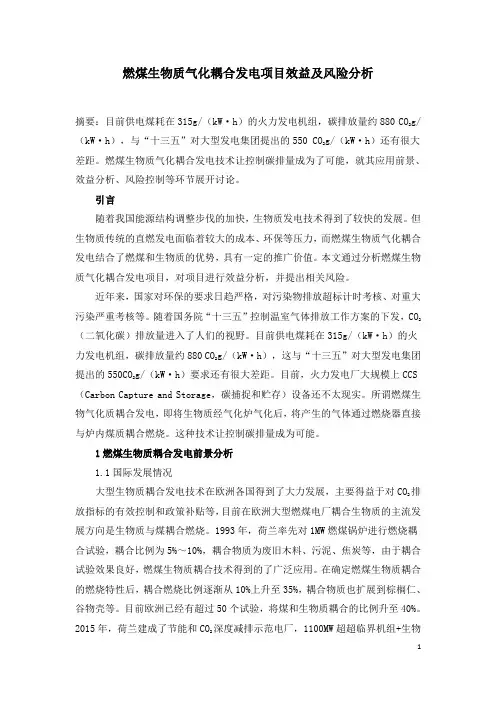 燃煤生物质气化耦合发电项目效益及风险分析