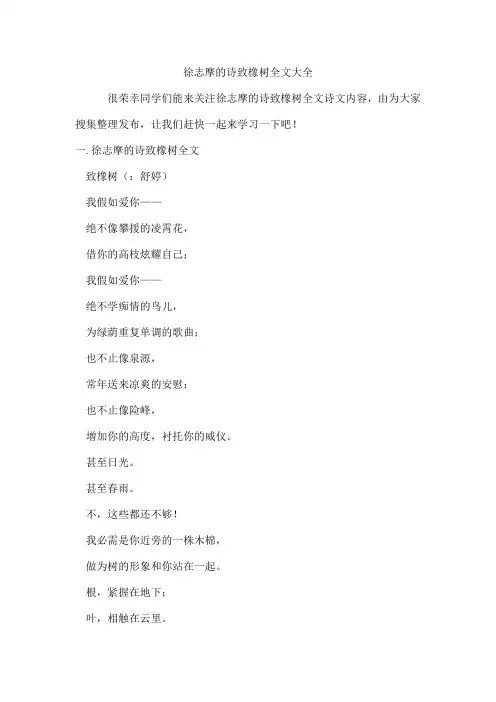 徐志摩的诗致橡树全文