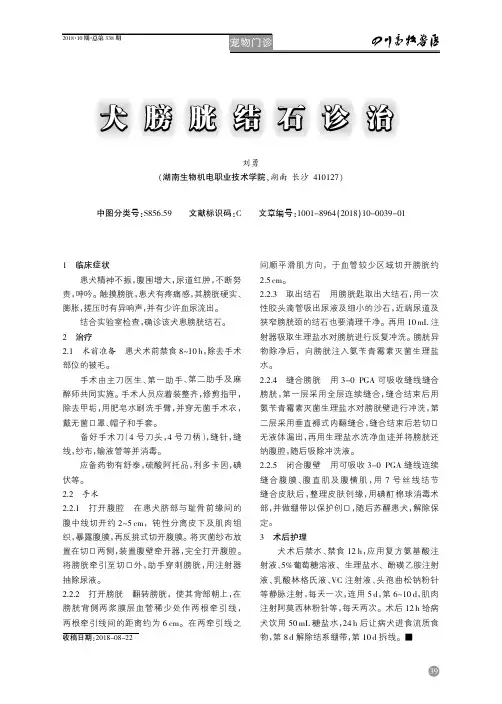 犬膀胱结石诊治