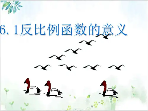 初中数学《函数》_精品课件-ppt【北师大版】6