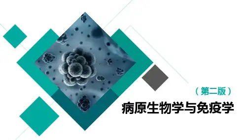 病原生物学及免疫学 第三版 第二十三章 呼吸道病毒