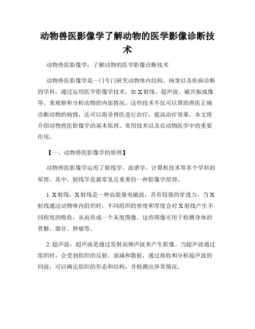 动物兽医影像学了解动物的医学影像诊断技术