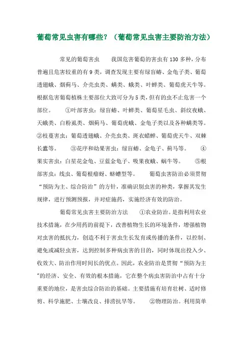 葡萄常见虫害有哪些？(葡萄常见虫害主要防治方法) 