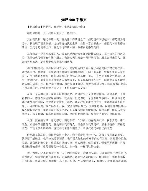 知己900字作文