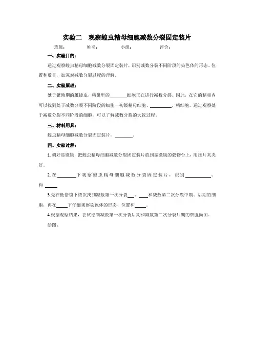 实验二  观察蝗虫精母细胞减数分裂固定装片