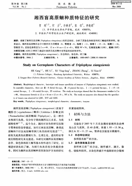 湘西盲高原鳅种质特征的研究