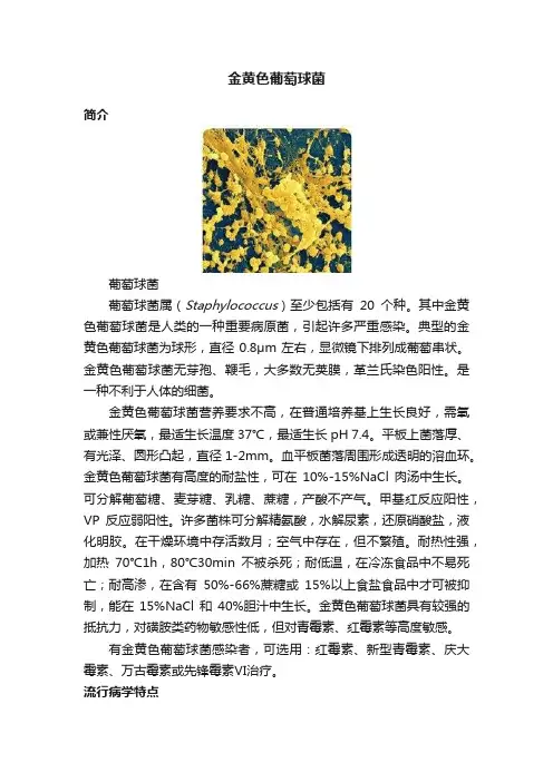 金黄色葡萄球菌