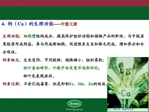 植物营养基本知识-1ppt