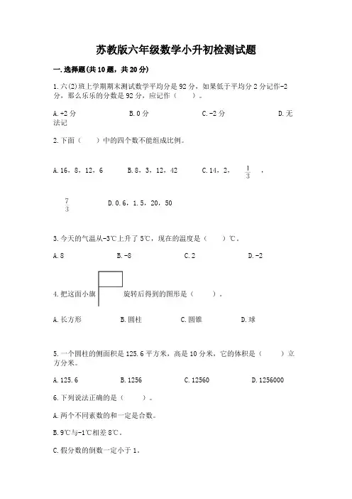 苏教版六年级数学小升初检测试题及完整答案【各地真题】