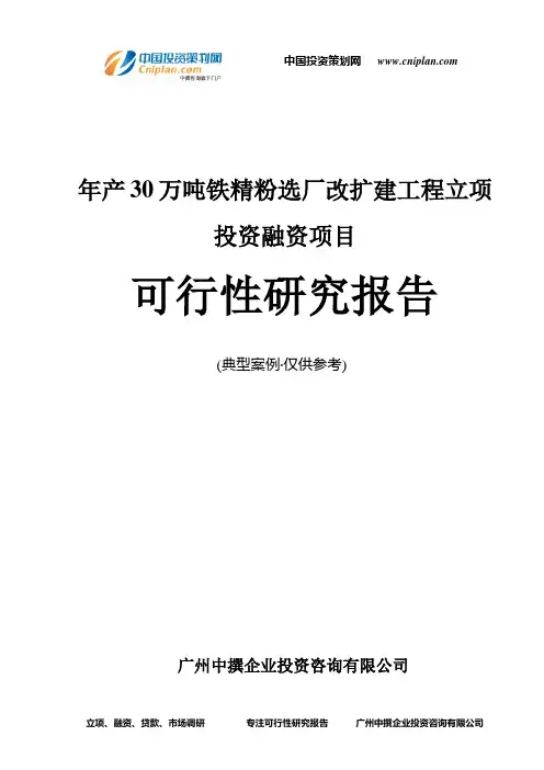 年产30万吨铁精粉选厂改扩建工程融资投资立项项目可行性研究报告(中撰咨询)