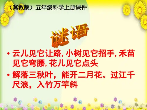 (冀教版)小学科学五上册《风的形成 》PPT课件(同课异构) (2)