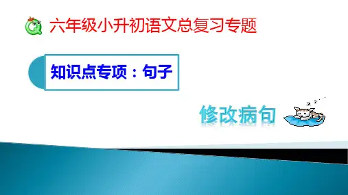 通用版六年级下册语文小升初知识点专项：修改病句