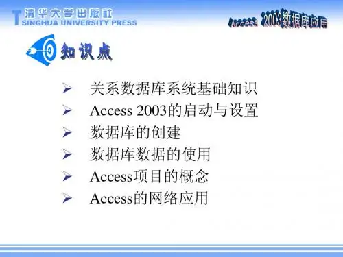 07 Access 2003数据库应用